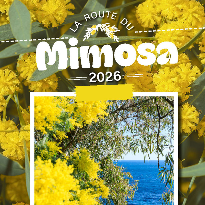 La Route du Mimosa